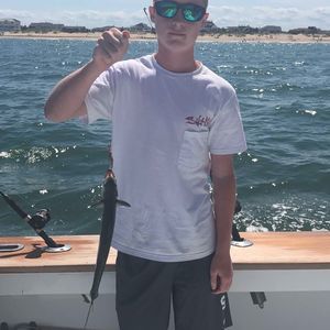 Meet your Posher, Eric